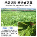 Ai Cao Pao Jiao Yunnan Bencao Zu Fu Instant Sweating Red Flower Ginger Sichuan Pepper Soaking Foot Bath Wan. 