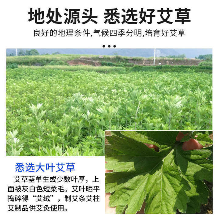 Ai%20Cao%20Pao%20Jiao%20Yunnan%20Bencao%20Zu%20Fu%20Instant%20Sweating%20Red%20Flower%20Ginger%20Sichuan%20Pepper%20Soaking%20Foot%20Bath%20Wan%20-%20Image%202