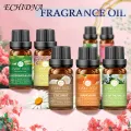 10ml Fragrance Oil High Purity Relieve Anxiety Natural Extract Pure Diffuser Aroma Aromatherapy Essential Oils for Office. 