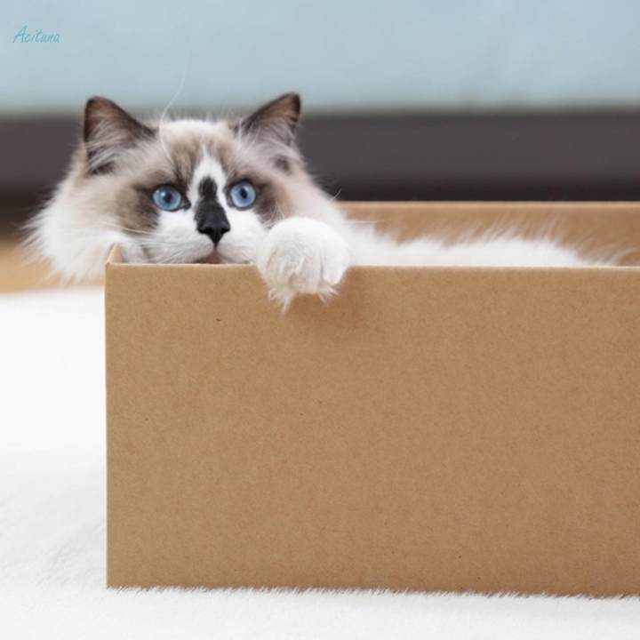 Cat%20Scratch%20Box%20Sofa%20Furniture%20Protection%20for%20Kitten%20Reversible%20Scratcher%20-%20Image%207