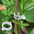 Garden Tomato Trellis Clips Perfect for Tomatoes, Cucumbers, Peppers, Melons, and other vine crops, flowers and plants Plant Support Clip. 