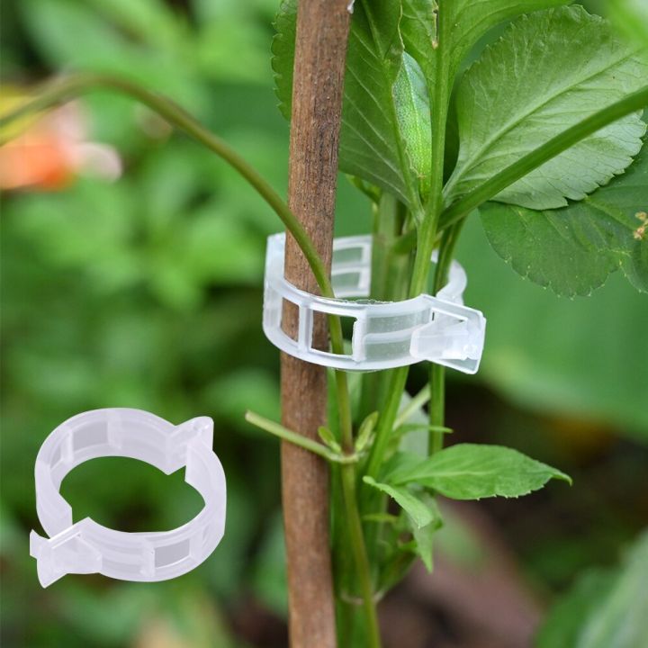 Garden%20Tomato%20Trellis%20Clips%20Perfect%20for%20Tomatoes,%20Cucumbers,%20Peppers,%20Melons,%20and%20other%20vine%20crops,%20flowers%20and%20plants%20Plant%20Support%20Clip%20-%20Image%208