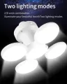Solar light. 