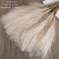 Natural Fake Wedding Decor For Home Decoration Bedroom Plante Artificial Flower Pampas Grass Fake Flowers Artificial Reed. 