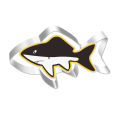 1/3pcs Sea Creature Cookie Cutter Set Fish Shape Fondant Cutters Stainless Steel Biscuit Cutters Mold For Ocean Theme Party. 