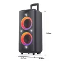 F&D PA300 100 Watt Wireless Portable Bluetooth Speaker. 