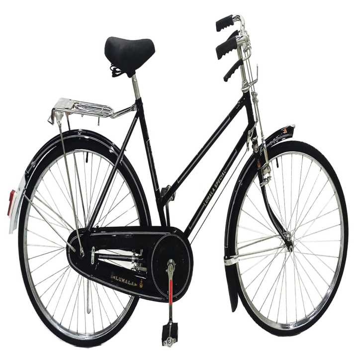 Fashion lumala bicycle 21 gears price