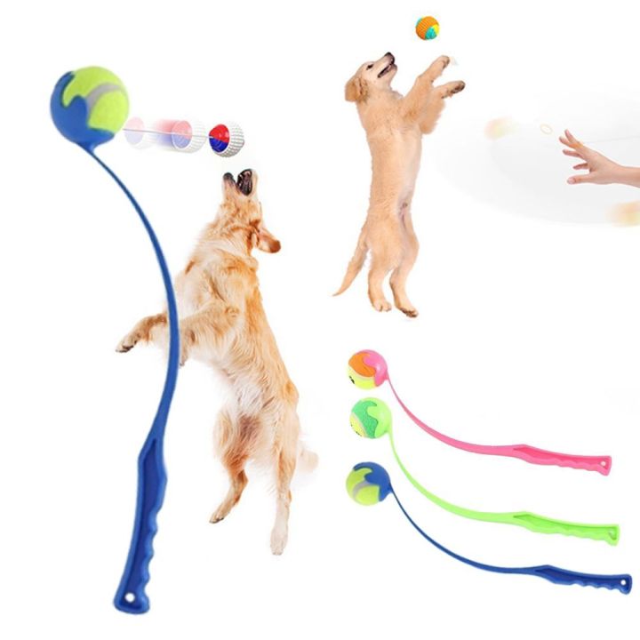 Pet Long Throw Encourage Natural Skills Tennis Chucker Toy Fetch ...