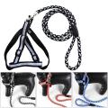 Small Adjustable Reflective Dog Harness Outdoor Walking Nylon Dog Leash Lead Pets Dog Sale Durable Traction Training Rope Dog Belt Dog Chain Dog Body Belt Chest Belt Step-in Harness Strap Stainless Steel Plastic Buckle Clasp Dog Collar Dog Strap Dogs Belt. 