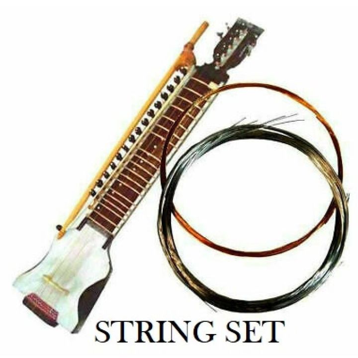 Complete Indian Esraj / Israj String Set | Full Bronze & Steel Metal Strings | Professional Replacement Strings for Traditional Classical String Instrument | High Quality Durable Esraj Strings Set for Hindustani & Devotional Music