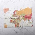 Passport Protective Case World Map Travel Abroad PC901E. 