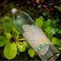 Olu empty glass water bottle 625ml. 