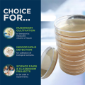 Potato Dextrose Agar Dish Bacterial Dish for Mushrooms, Home Test Kit or Science Fair Project , 10PCS. 