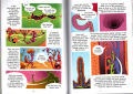 Science Comics The Digestive System Children S Full Color Comic STEM Full Color Encyclopedia Original English Books. 