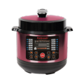 Premium Metalic 6 Liter Multi-cooker with warranty (15 in 1). 