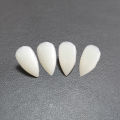 1 Pair Bloodcurdling Vampire Werewolves Fangs Fake Dentures Teeth Costume Halloween Fad. 