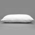 Celcius Classic Pillow 18"x 27"- 2 in 1 Pack - Limited Time Offer. 