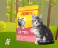 JOSICAT KITTEN Dry Food 650g. 