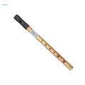 Traditional Penny Whistle Music Instrument Flute Whistling for Kids Beginners. 