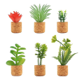 6 Pcs Cactus Refrigerator Magnets Mini Cute Succulent Plant Fridge Magnet Decoration Accessories for Home Kitchen Office. 