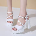 2024 New Sandals Women's High Heels Chunky Heel Waterproof Platform Thick Bottom Fish Mouth Internet Celebrity Versatile Single-Layer Shoes Summer Non-Slip. 