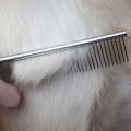 Pet Steel Comb with Rounded Ends Stainless Steel (Big Size). 