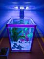 Large glass fish tank , white colour boder stiker.(12L Aquarium tank,Height 40cm,width 30cm x 30cm). 