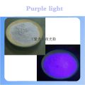 20g Neon Phosphor Luminous Pigment Glowing In The Dark Powder High Brightness Luminescent Powder Glowing Powder Pigment. 