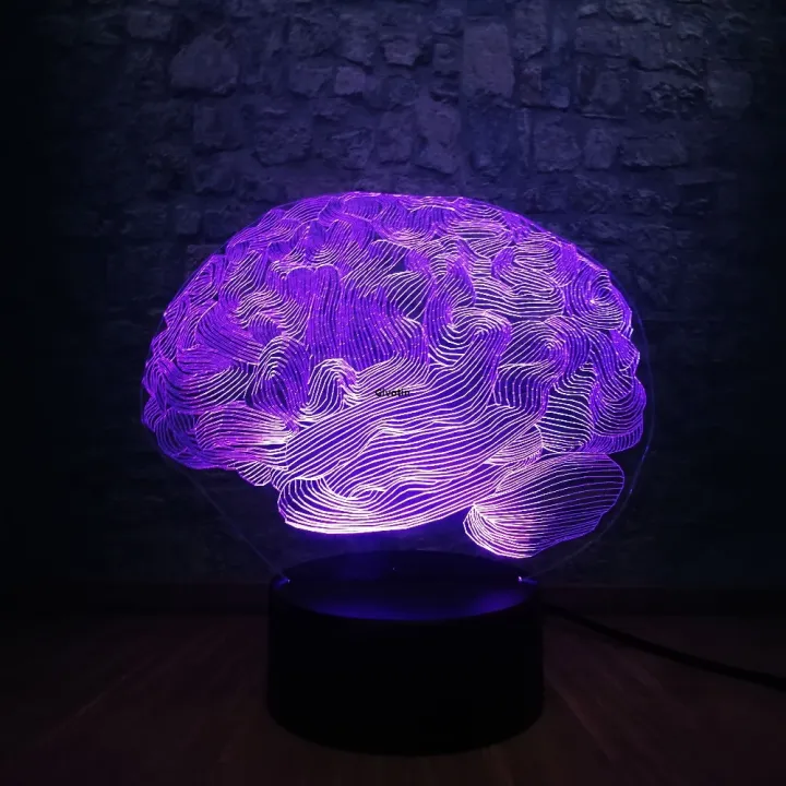 【PrimePicks123】Novelty Light Cerebrum Brain LED LAMP NIGHT LIGHT ...