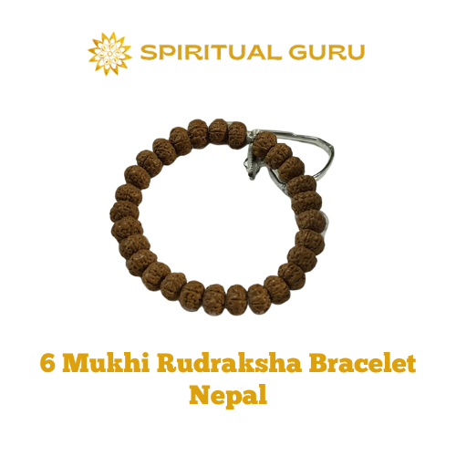 Original 6 Mukhi Rudraksha Bracelet from Nepal | Six Face Rudraksha for Strength, Focus & Positive Energy | Spiritual Guru