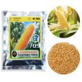 Corn GT709 Seeds BadaIrugu Beeja 25g Home Gardening Agriculture. 