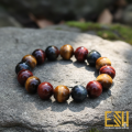 Tiger Eye Multi with Gem Corporation warranty (NO WARRANTY CARD). 