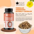 Bliss of Earth Tribulus Terrestris For Men, Tribulus Supplement, High Potency Gokshura Extract, 500mg Supply Per Serving, 60 Veg Capsules For Stamina & Muscle Growth  FROM DUBAI (SAM). 