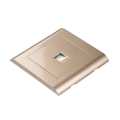 Modular Gold Cat 6 Data Socket Outlet. 