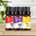 10ml Essential Oil High Purity Refresh Air Multiple Aromas Fragrance Diffuser with Dropper Aromas Oil for Humidifier. 