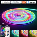 Tuya Smart LED Neon Strip RGBIC 12V Dreamcolor IP67 Waterproof Flexible Tape Chasing Effect for Home Garden Decoration Lighting. 