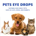 Cataract Drops for Dogs, Dog Eye Drops, Effective Dog Eye Infection Treatment Dog Eye Cleaner Cataract Eye Drops, Improve Vision Clarity, Relieve Red Eyes & Allergy Symptoms. 