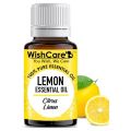 10ml Fragrance Oil Long Lasting Water Soluble Plant Extract Flower Natural Aromas Essential Oil for Diffuser Humidifier. 