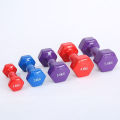 Dumbbell - 1kg (1Piece). 