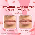 Vaseline Lip Care | Rosy Lips Tinted Lip Balm Stick | up to 48Hr moisturization | with almond oil & rose extract | made in South Korea | 4.8g. 