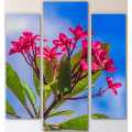 Three (3)Pieces Modern HD Printed Home Decor Wall Art Framed  -  Araliya Sri Lankan. 