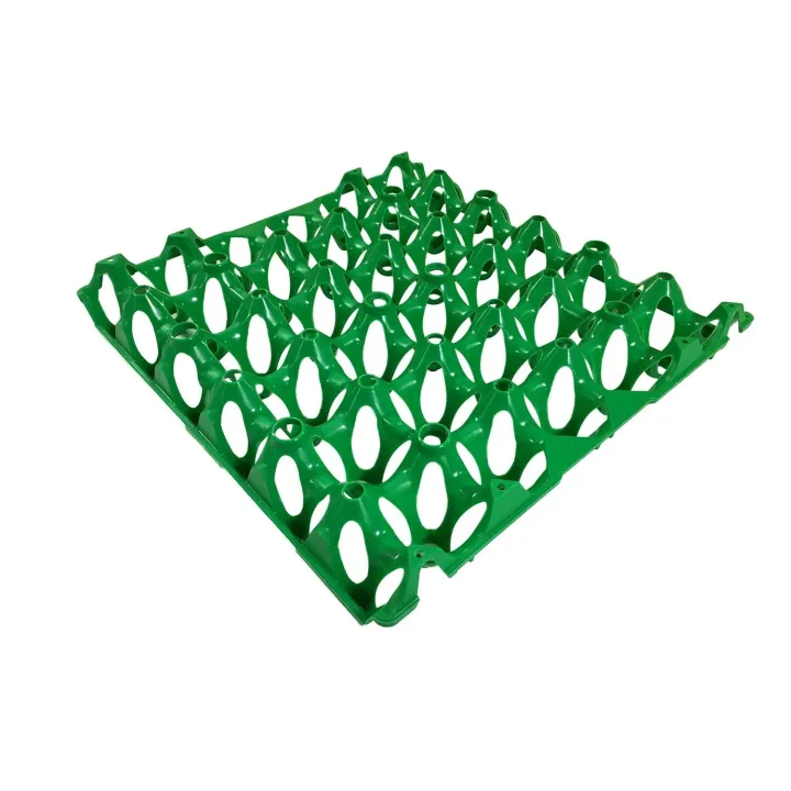 Plastic%20Egg%20Tray%20Egg%20Holder%20-%20Image%207