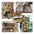 Natural Reptile Bark Cork Bark Hide for Isopods - Reptiles Exotic Pets Terrariums. 