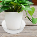 20 Pack Plant Saucers Drip Tray 6 Inch Clear Plastic Flower Pot Saucers for Indoor Plants, Plant Drip Tray for Pots. 