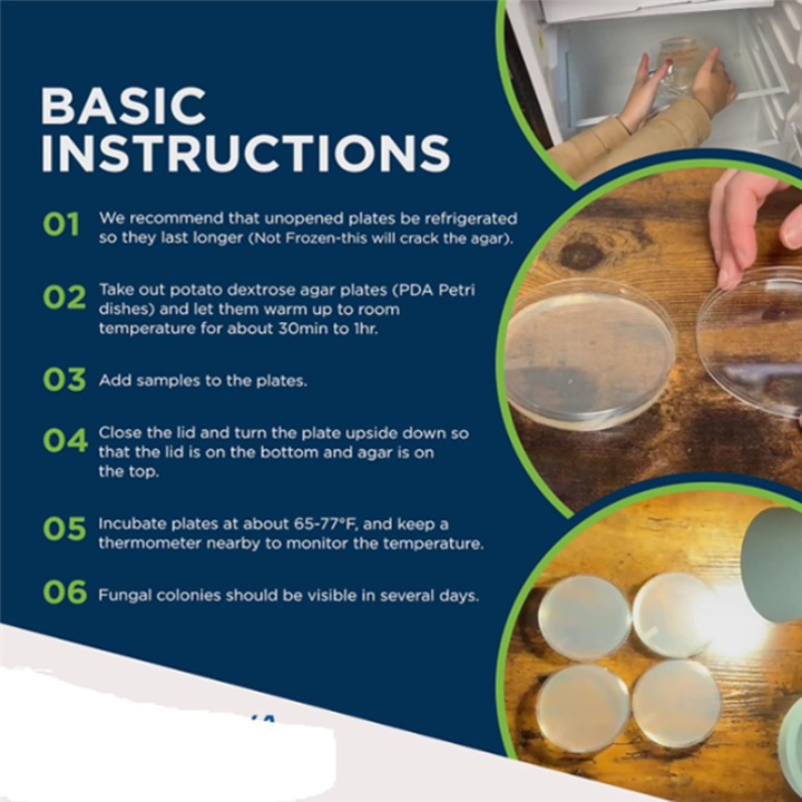 Potato%20Dextrose%20Agar%20Dish%20Bacterial%20Dish%20for%20Mushrooms,%20Home%20Test%20Kit%20or%20Science%20Fair%20Project%20,%2010PCS%20-%20Image%202