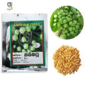 Turkey Berry Seeds Thibbatu Beeja 0.5g Home Gardening Agriculture. 