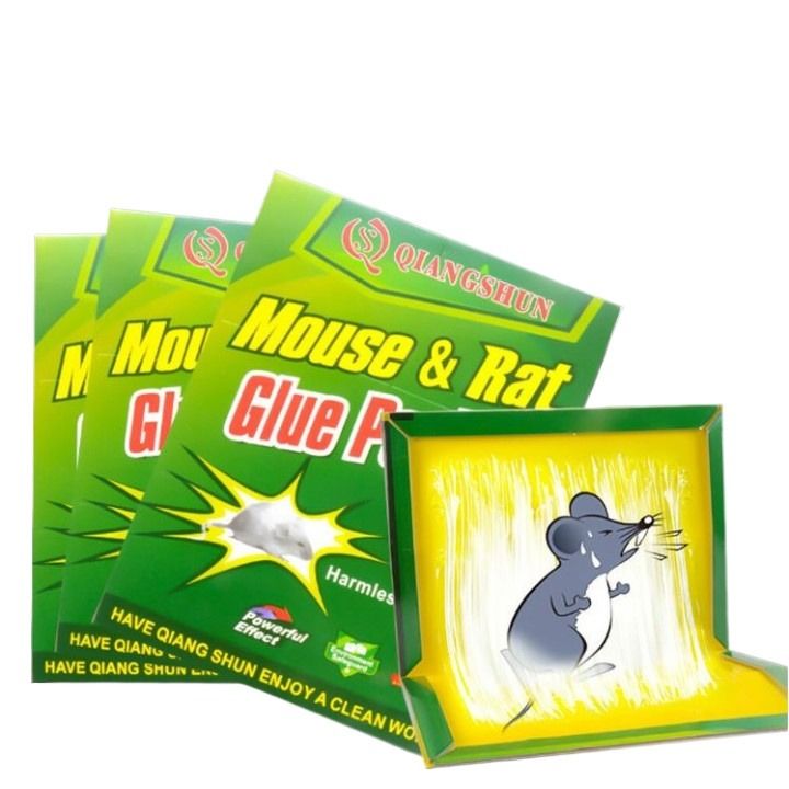 3 PCS Easy to Set (mrgp) Qiangshun Mouse and Rat Glue Plank  Mouse Traps Sticky Pad Board for House Indoor Outdoor