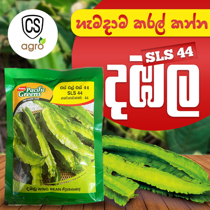 Wing Bean 'SLS 44' Seeds 10g, 50g, 100g Gardening Agriculture Home