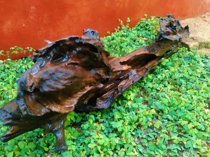 Aquarium%20Natural%20Tree%20Trunk%20Driftwood%20Fish%20Tank%20Plant%20Wood%20Decoration%20-%20Image%205