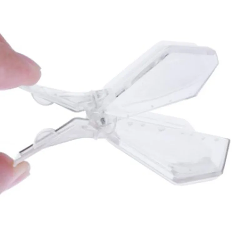 Clip Capture Reine Abeille Transparent 15 Cages à Reine Apiculture - Clips Plastique Transparent Protection Cage Protection Reine Abeille